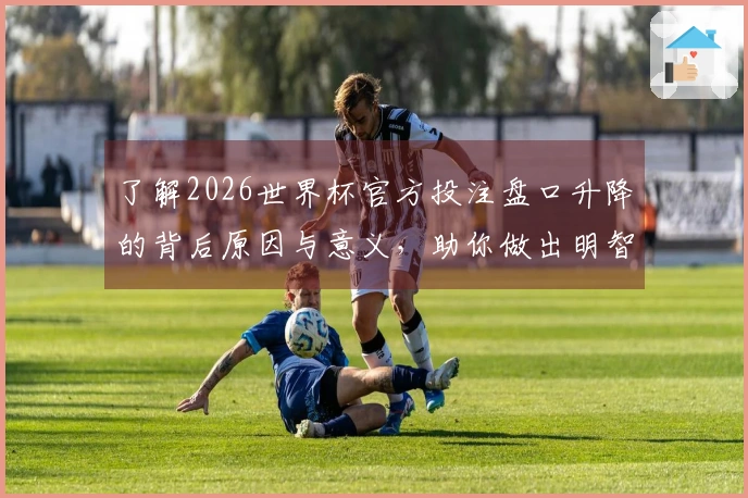 了解2026世界杯官方投注盘口升降的背后原因与意义，助你做出明智的下注选择